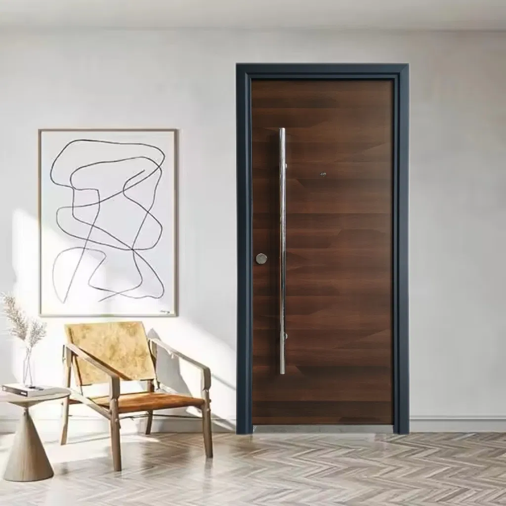 Metal Security Cold Rolled Steel Door Single Gate for House Entrance