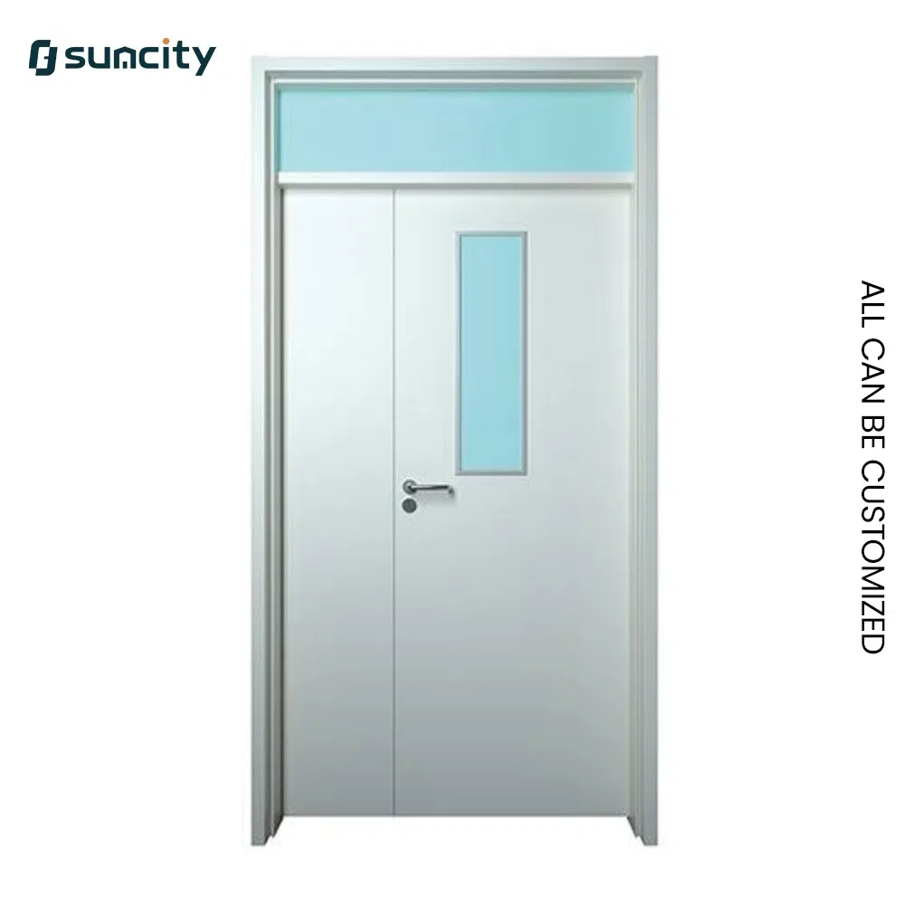 Industrial Grade Radiation Shielding Healthcare Laboratory Hospital Door for Clinical Labs