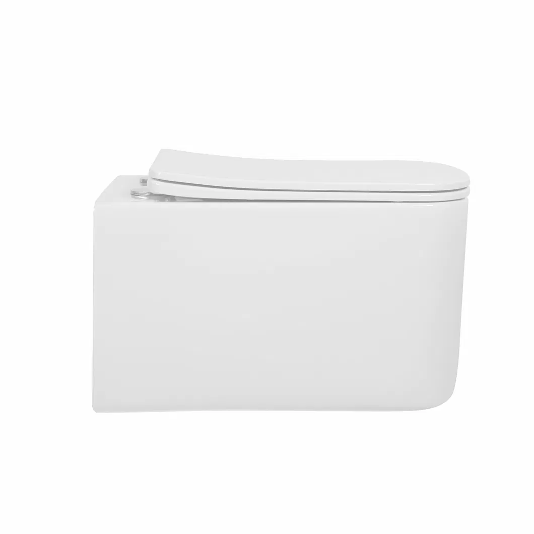 Wall Mounted Toilet View 1