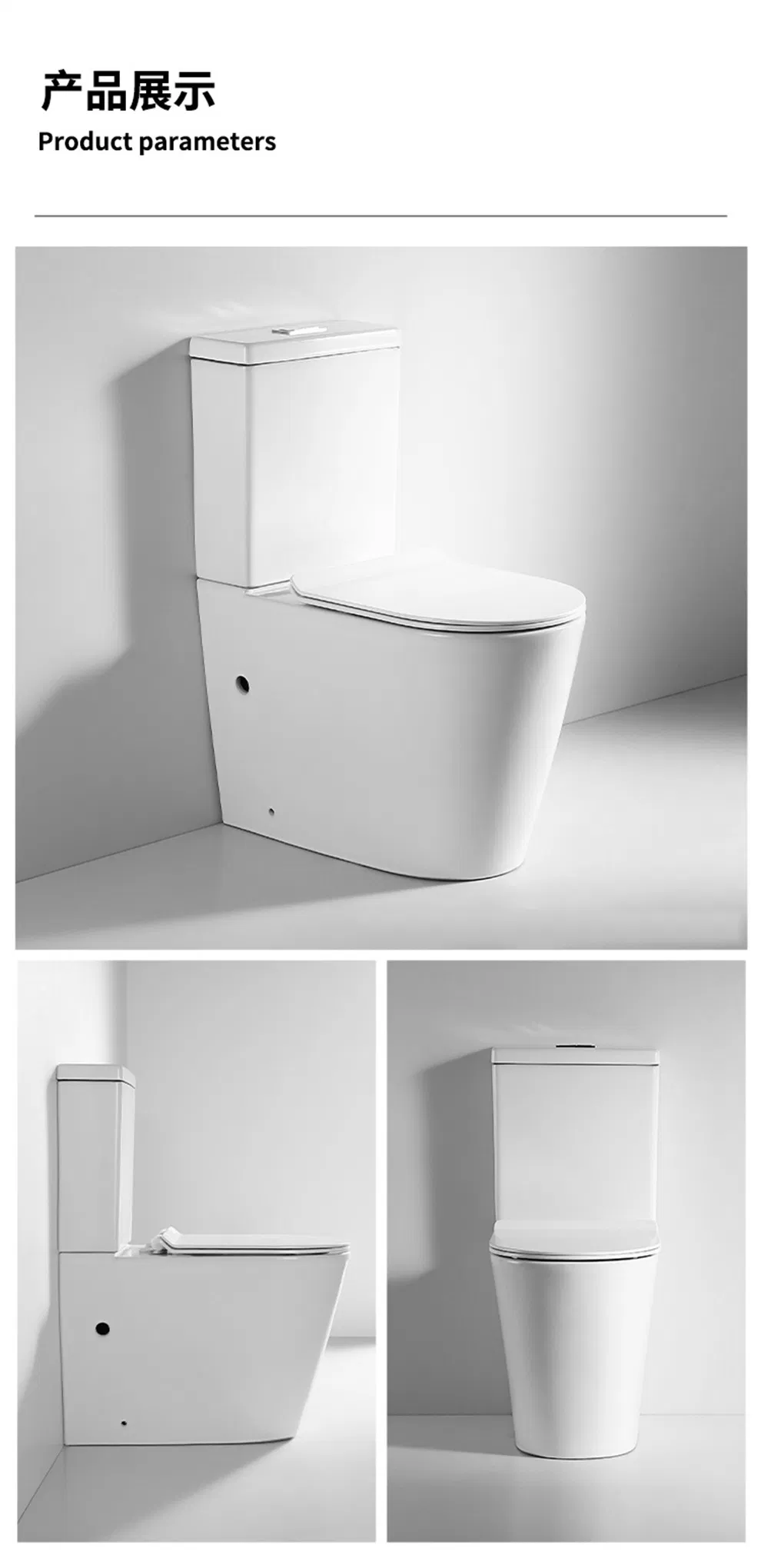 Toilet Bowl Details 15