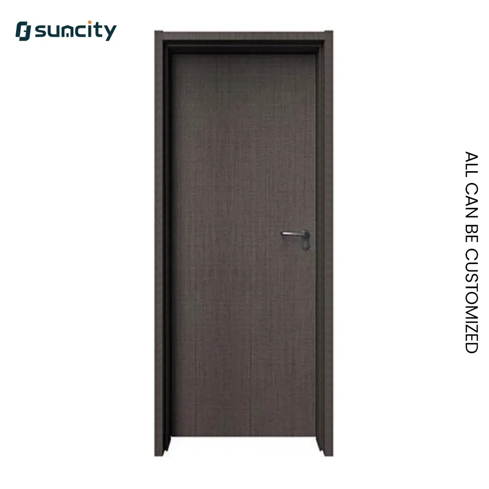 Medical Grade Radiation Shielding ICU Laboratory Hospital Door for Clinical Facilities