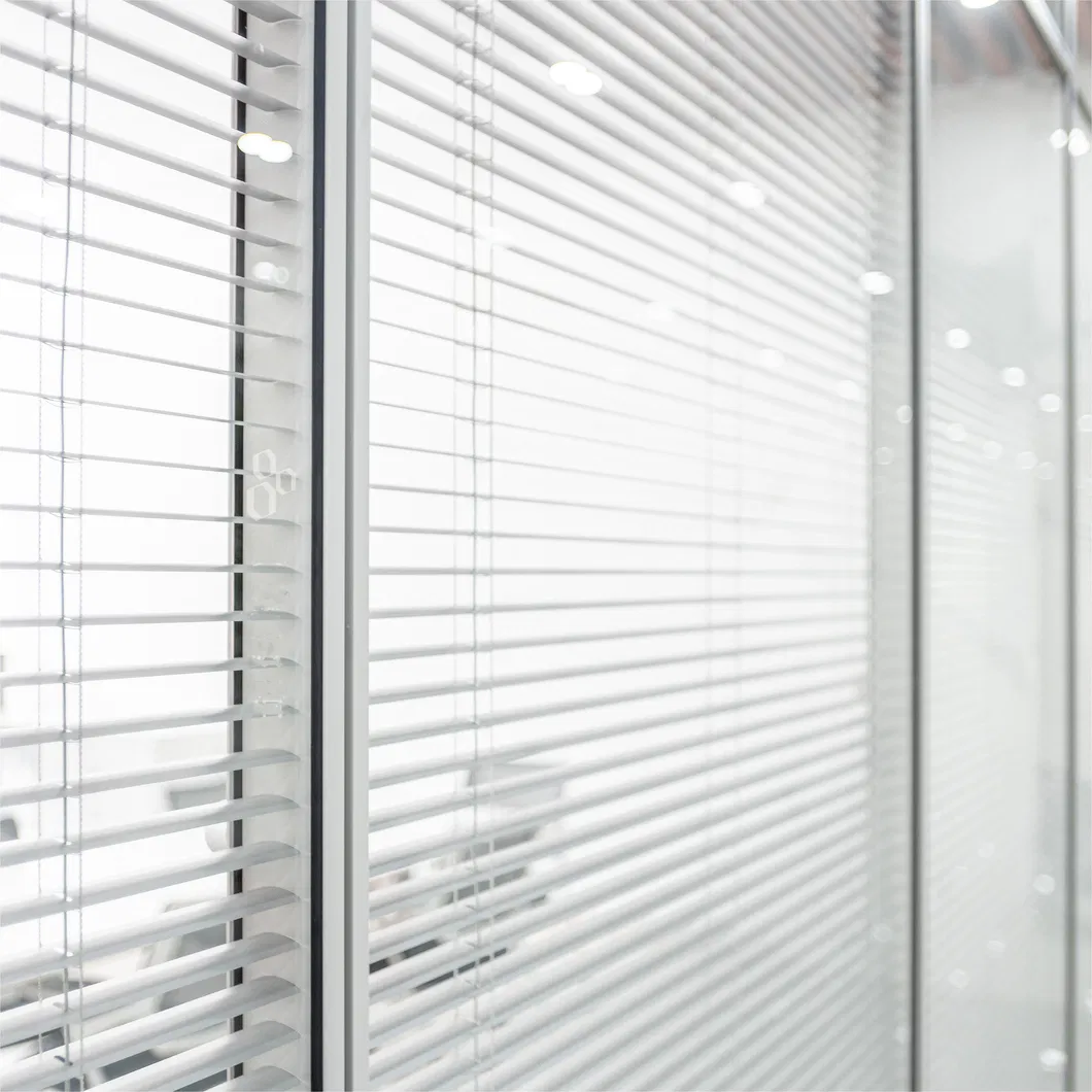 Sleek Aluminum Office Partition