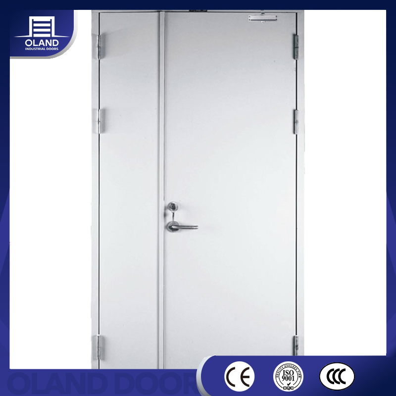 1-3 Hour Safety Fire Rated Steel Swing Metal Door for Exit/Entrance