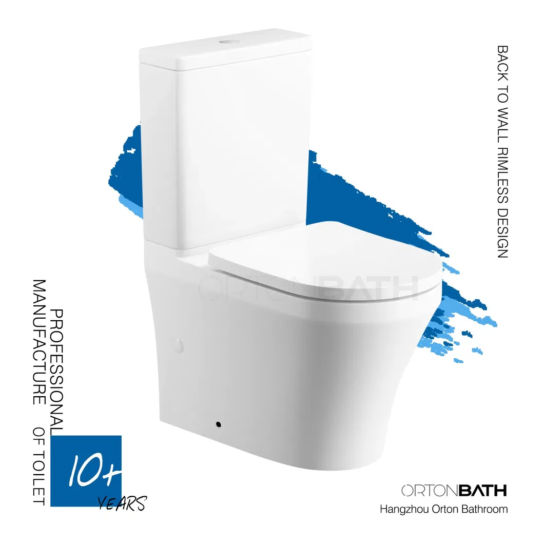 Two Piece Toilet Display