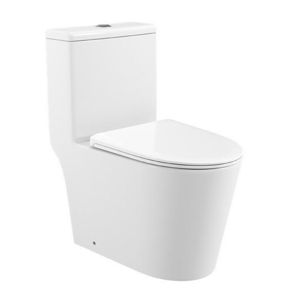 Washdown Tornado One Piece Ptrap/Strap 250mm Ceramic Toilet for Middle East