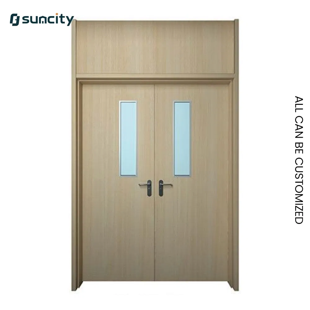 Industrial Grade Radiation Shielding Healthcare Laboratory Hospital Door for Clinical Labs