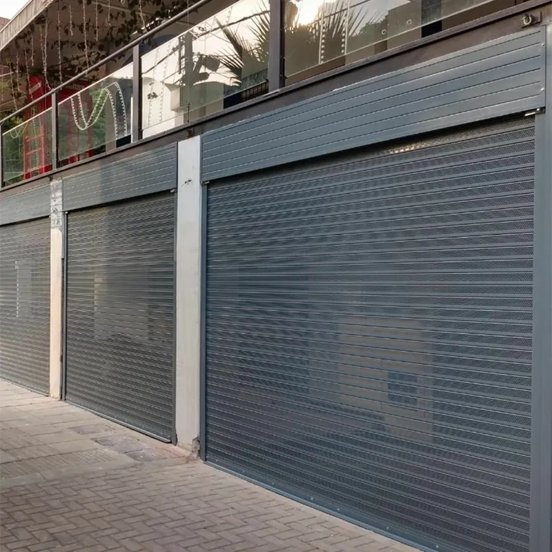 Roller Door Detail 2