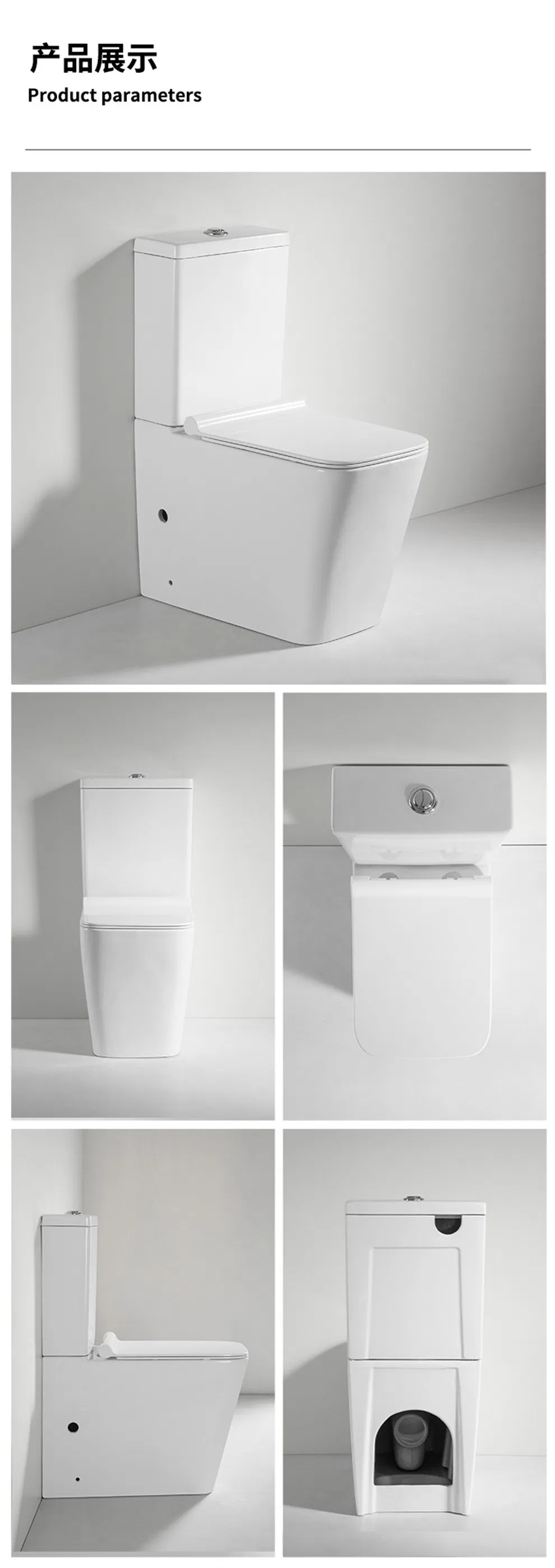 Toilet Bowl Details 11