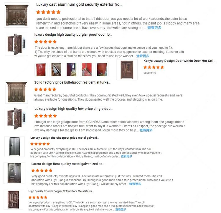 Security Door View 11