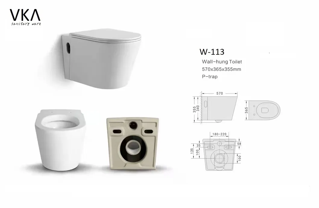 Wall Hung Toilet View 1