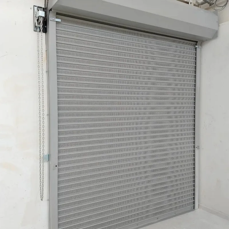 Roller Door Detail 3