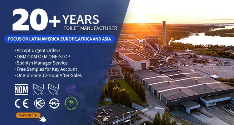 Sanitary Ware Toilet