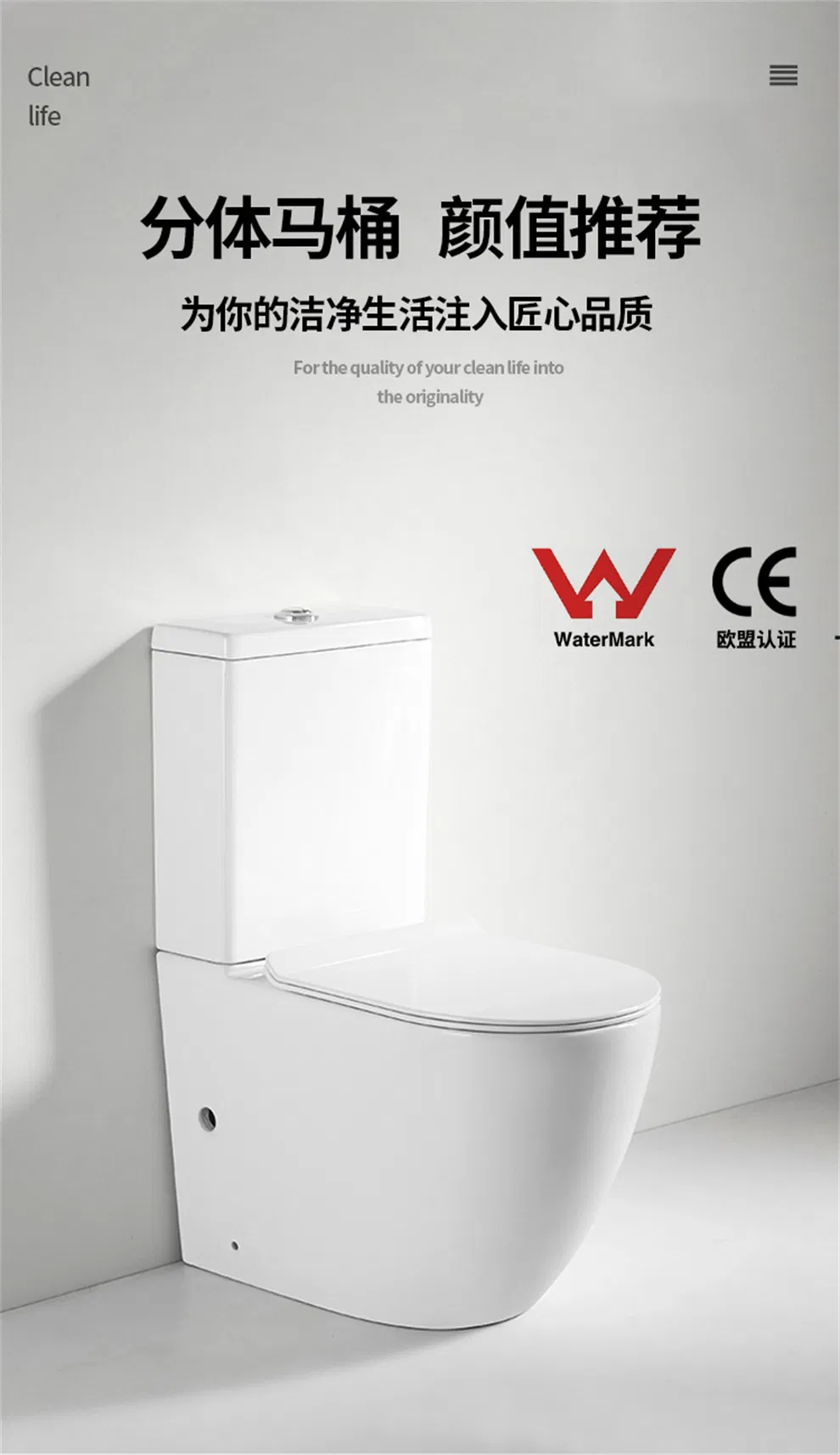 Toilet Bowl Details 1