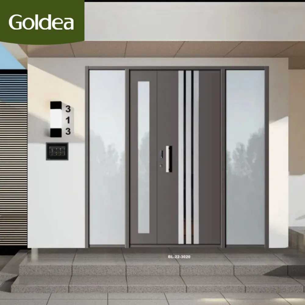 Classic Double Black Sliding Door Inside Black Garage New Design Stainless Steel Metal Firerated Wooden Front Main Door