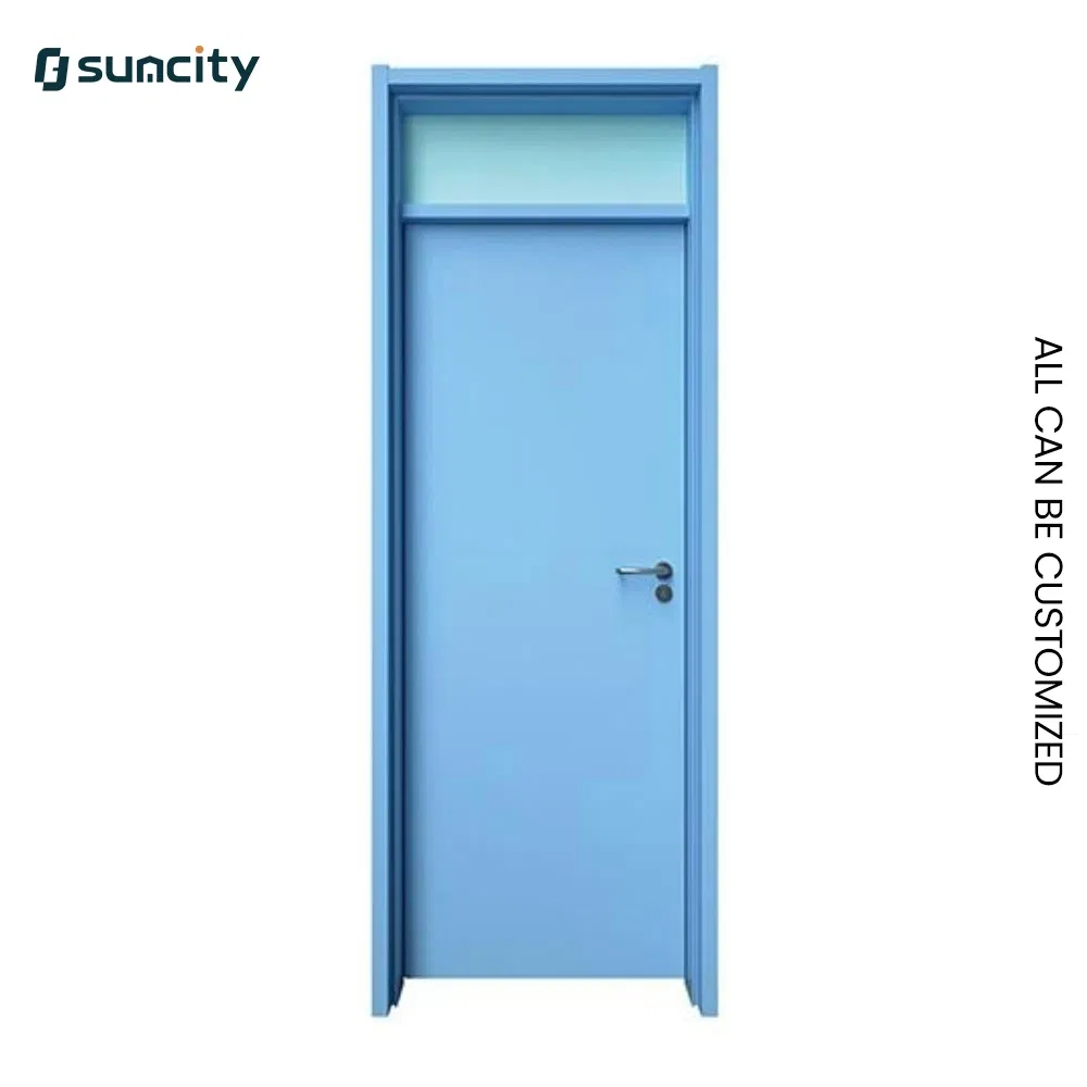 Industrial Grade Radiation Shielding Healthcare Laboratory Hospital Door for Clinical Labs
