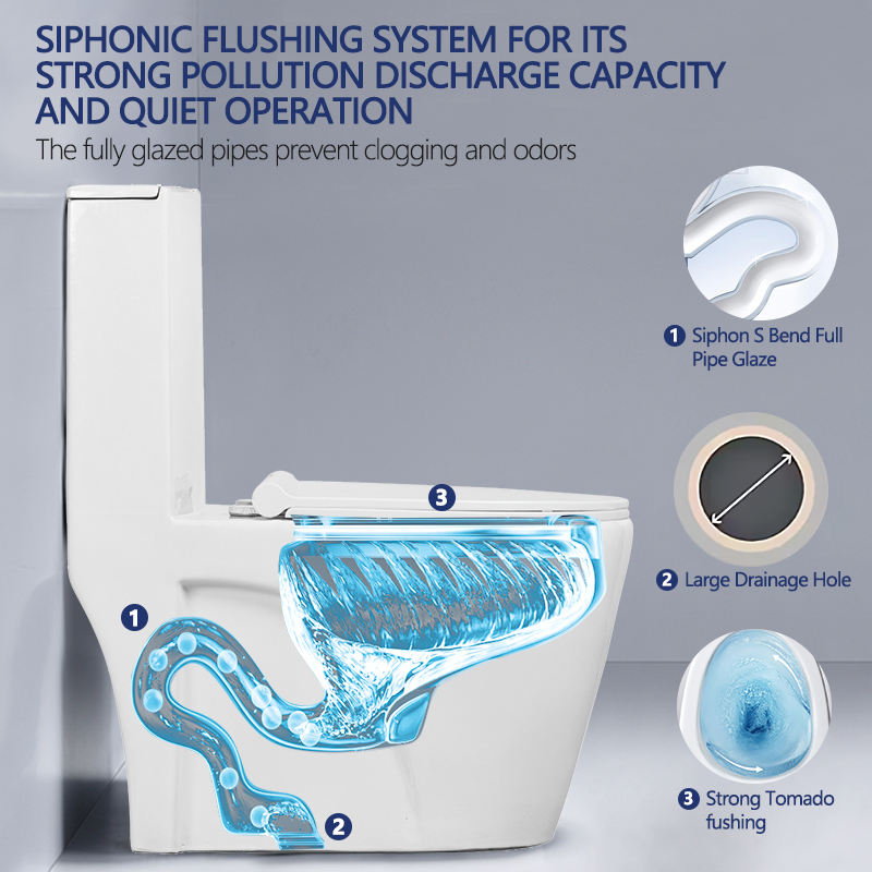 Modern White Siphon Flushing Bathroom Sanitary Ware Ceramic One Piece Wc Toilet with Soft Closing Seat