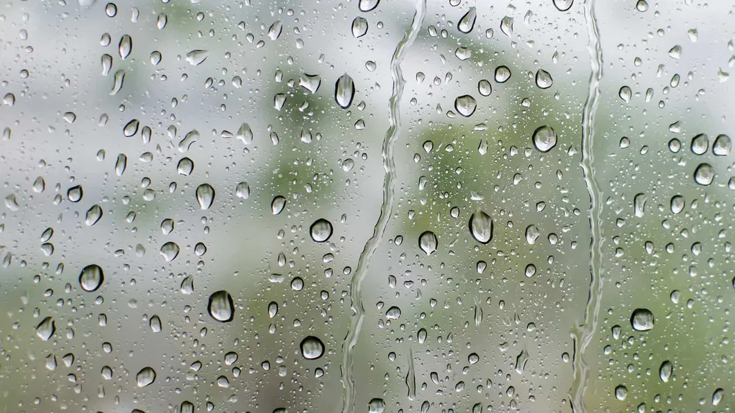 Drainage Performance