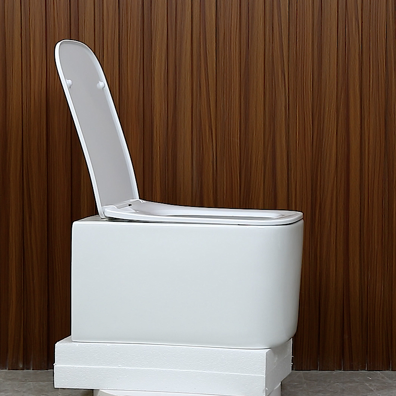 Wall Mounted Toilet Bathroom Ceramic Sanitaryware Washdown Tornado Flushing Wall Hung Wall Mounted Toilet