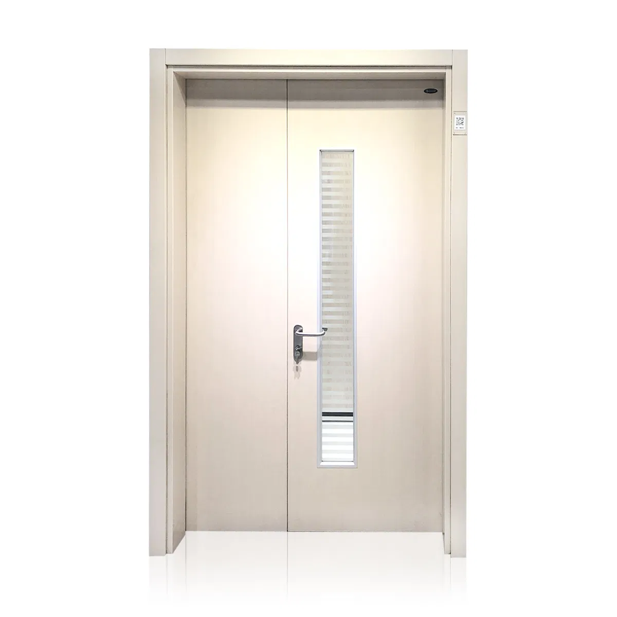 Entrance Medical Double Steel Metal Fire Door Design Hospital Hermetic Doors Panic Door