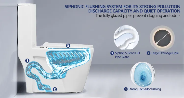Siphonic flushing system