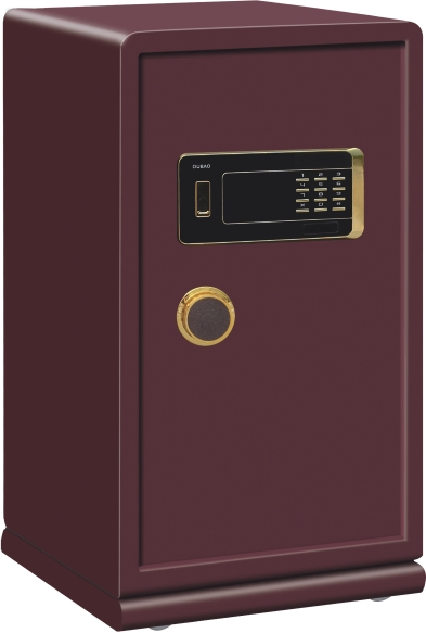 Compact Metal Wall Safe with Digital Lock for Home Security