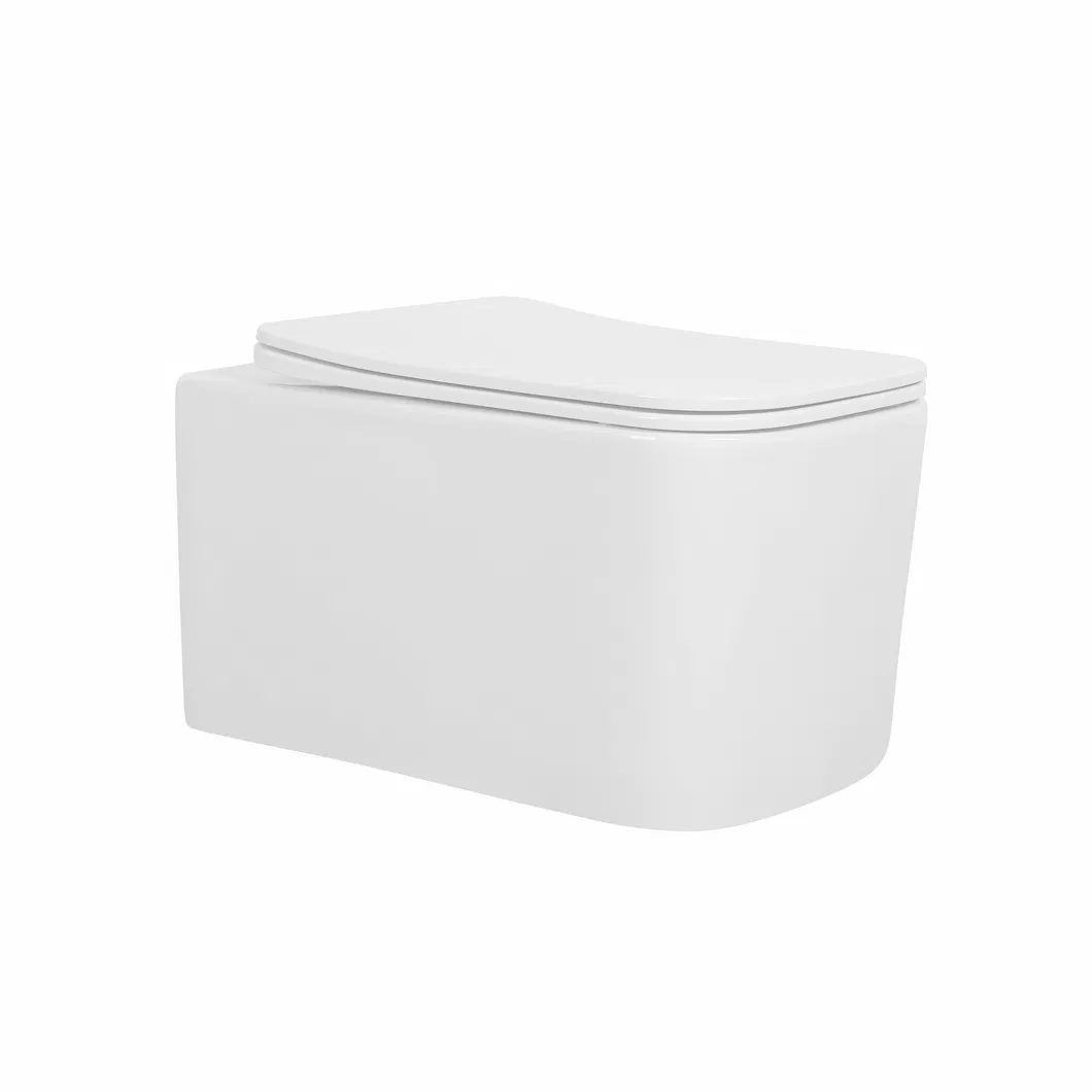 Wall Mounted Toilet Installation