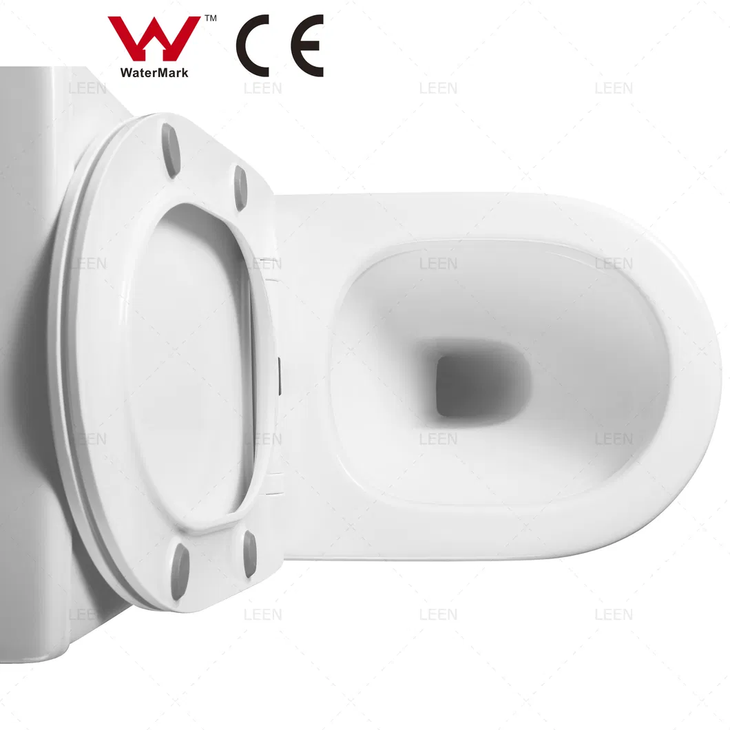 Toilet Design
