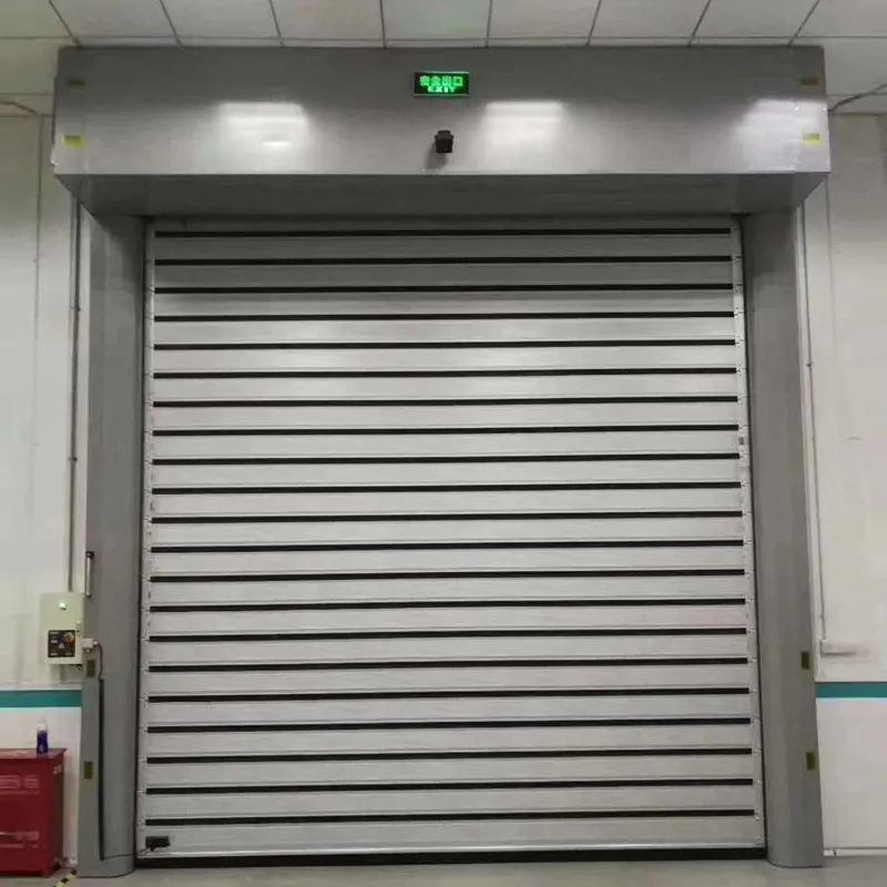 Industrial Door View 5