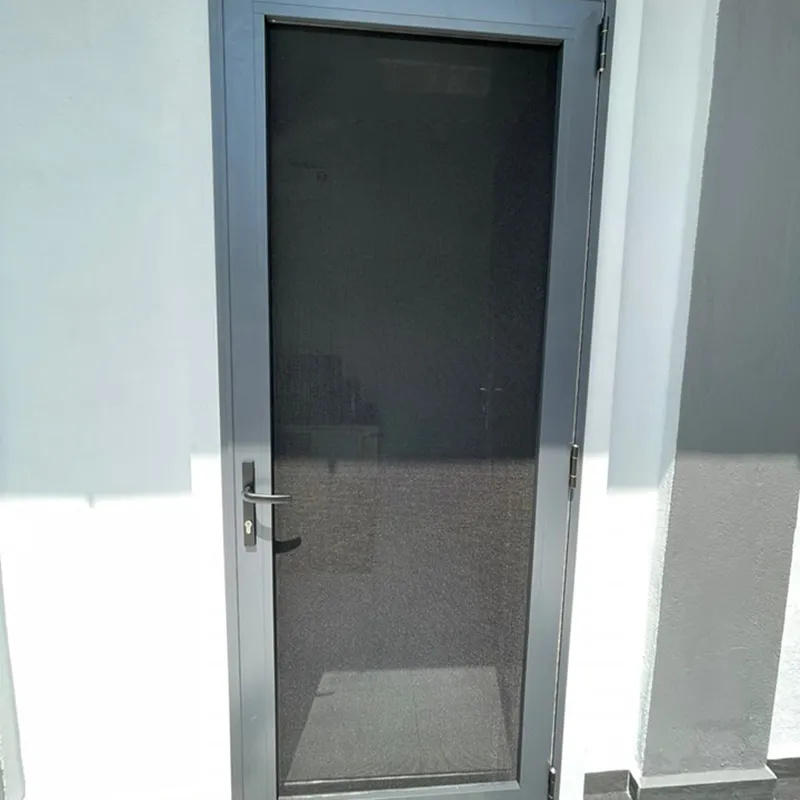 Hinged Security Door 2