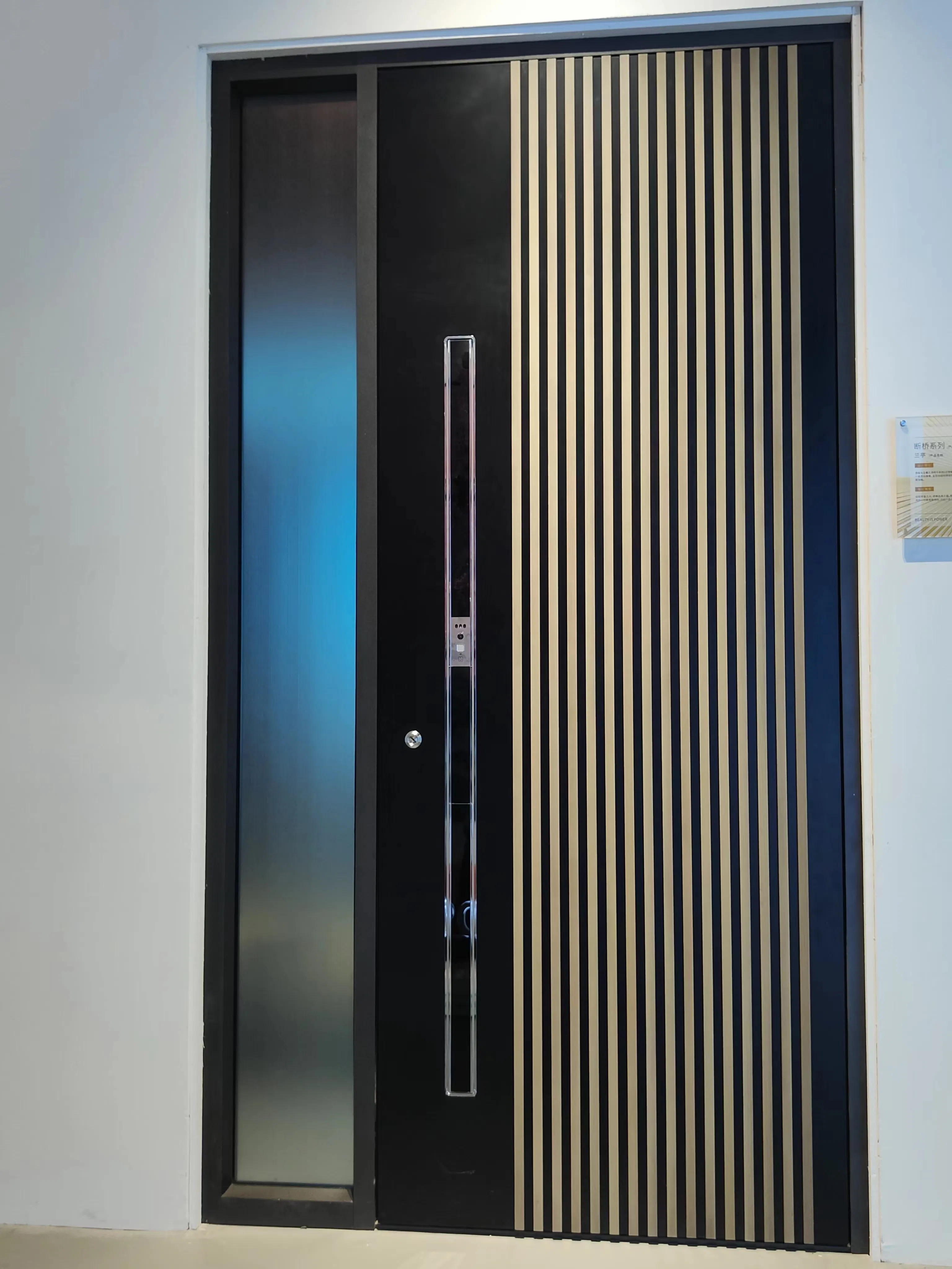 Residential Entrance Metal with Silver Glass and Anodizing Residential Door