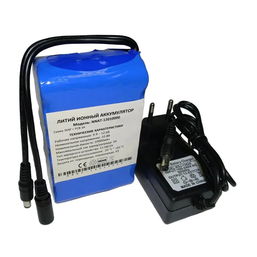 Battery Pack Detail 1