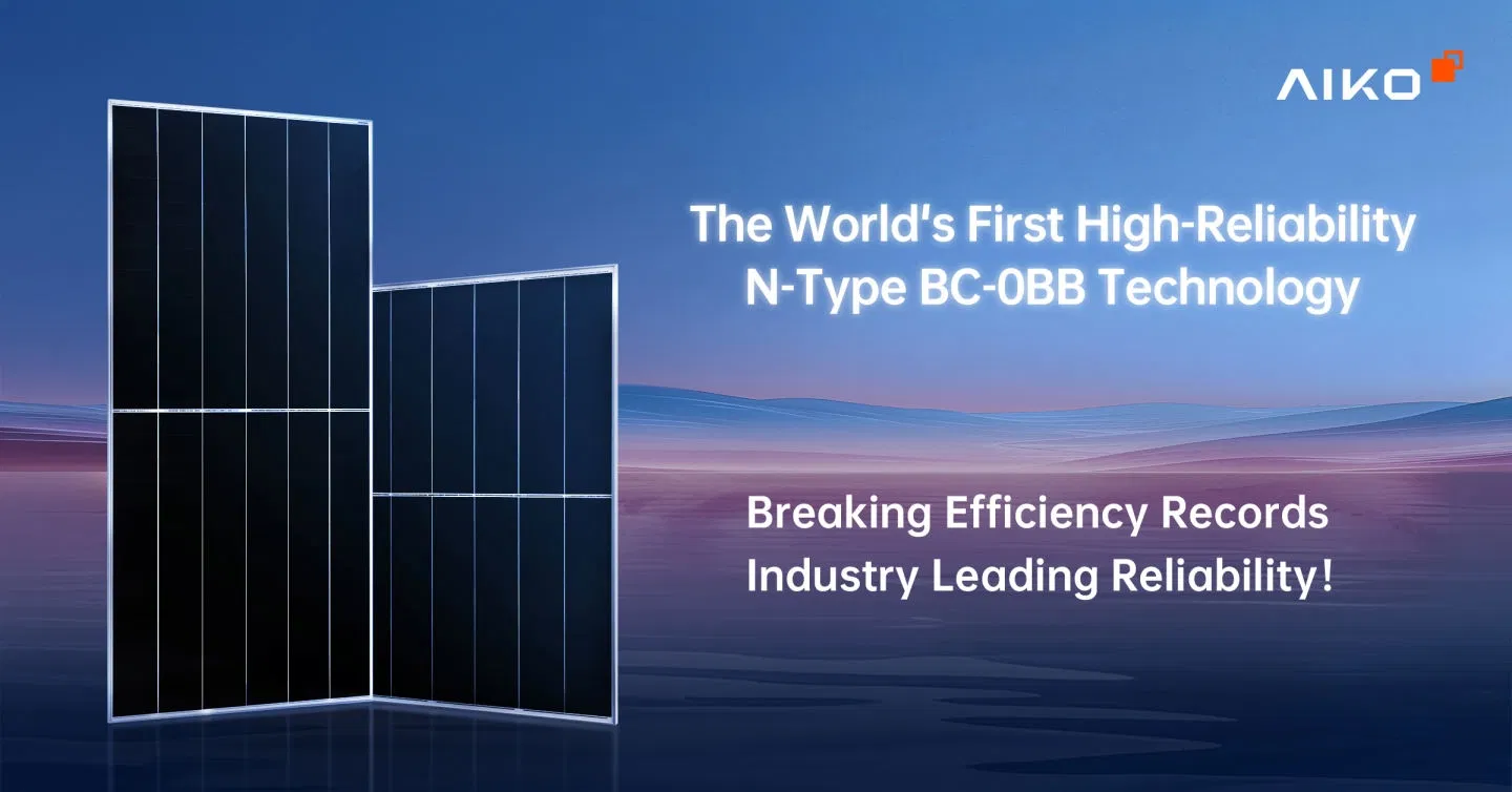 Stellar Series Bifacial PV Module