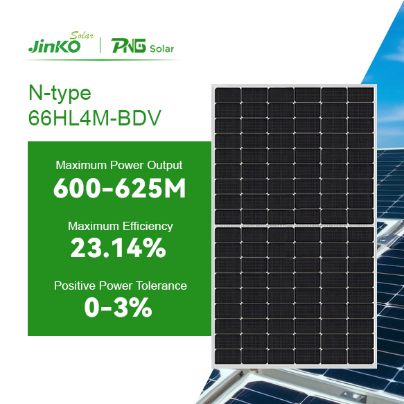 Jinko Tiger Neo N-Type 66hl4m-Bdv 600-625 Watt Bifacial Module with Dual Glass 600W 605W 610W 615W 620W 625W Solar Panels