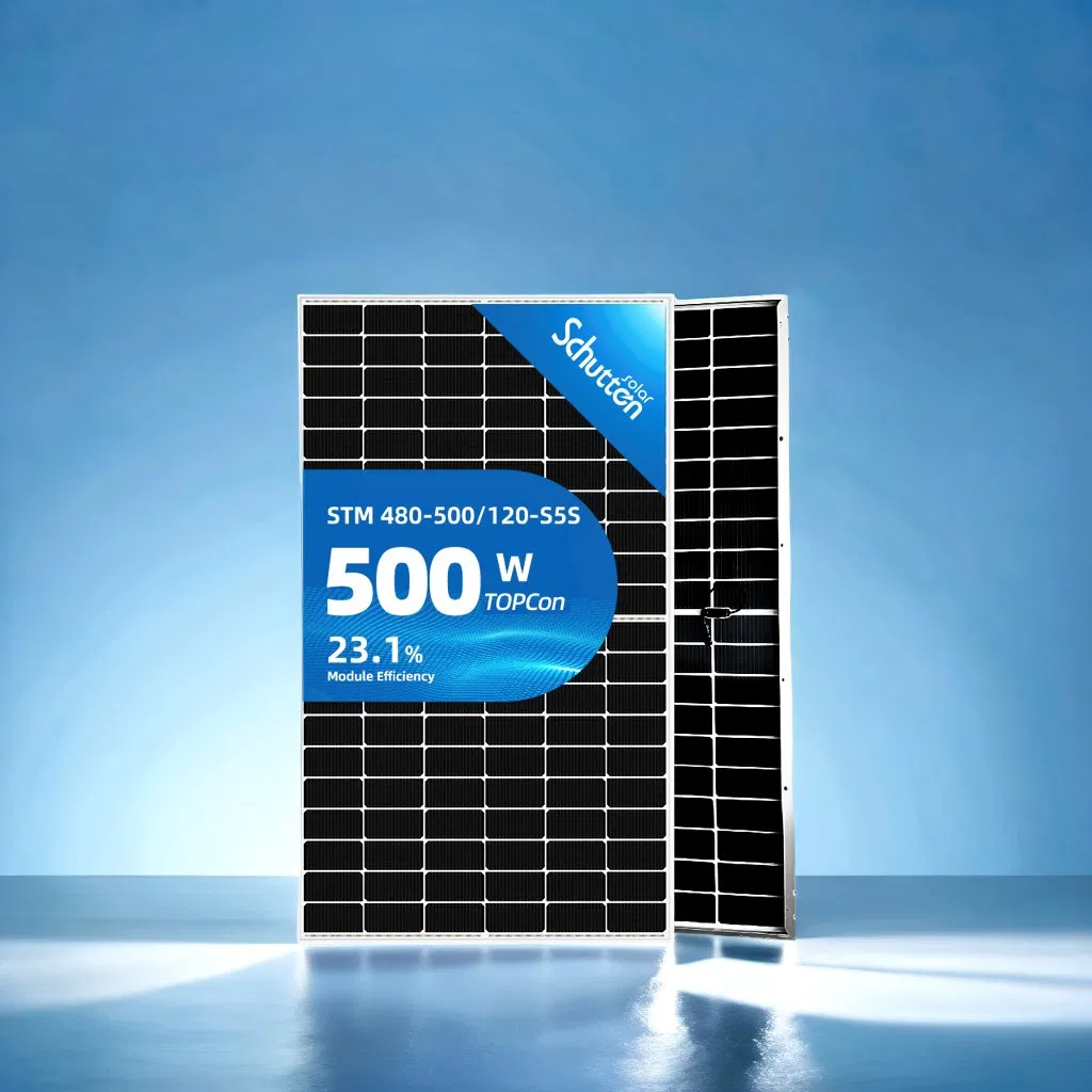 Advanced N-Type Bifacial Solar Module with 30-Year Guarantee