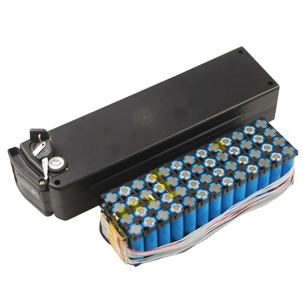 High Capacity 48V 10ah Lithium Rechargeable Battery Pack for E-Bike