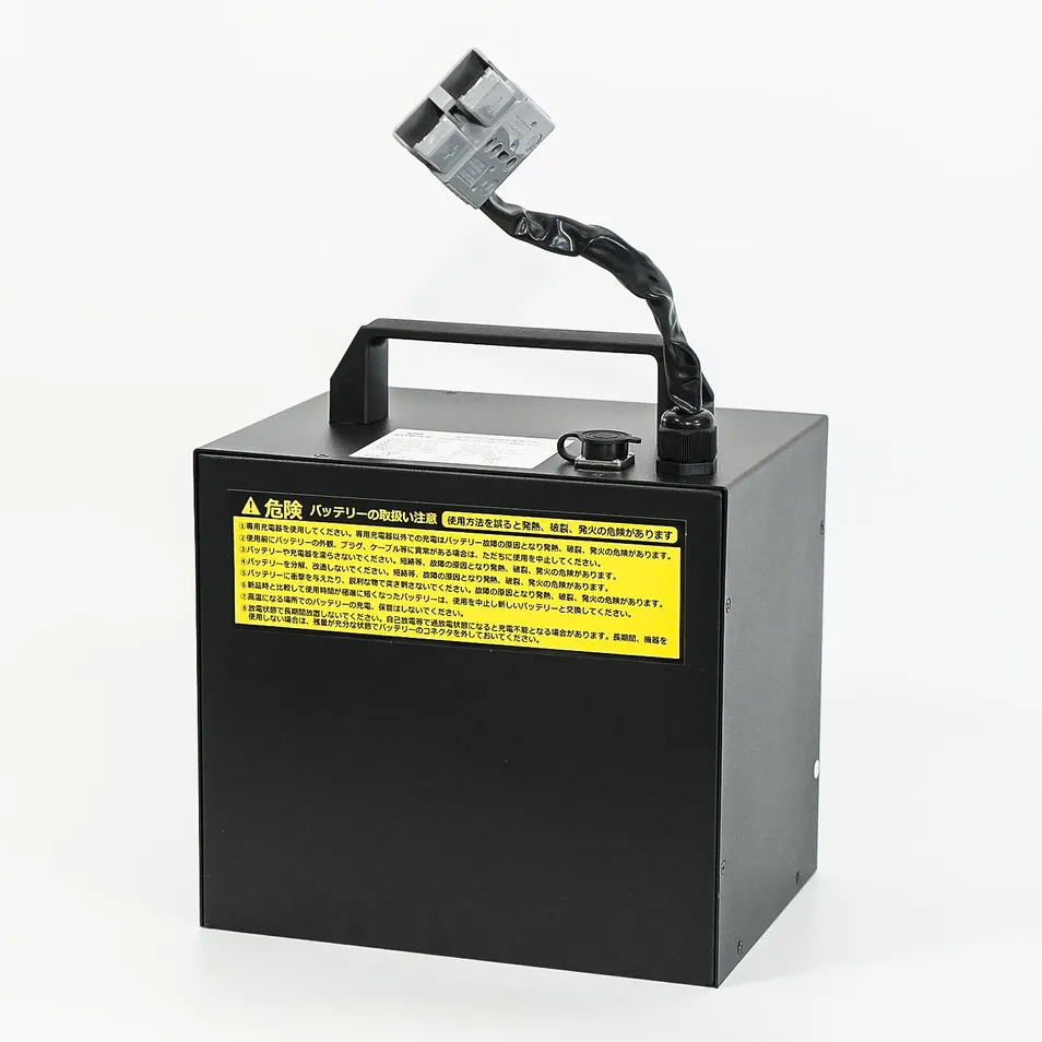 Lithium Battery Pack Detail 2