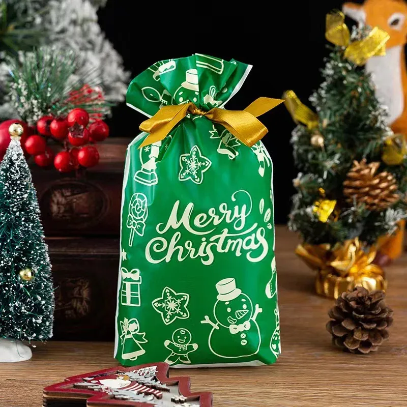 Christmas Gift Bag 6