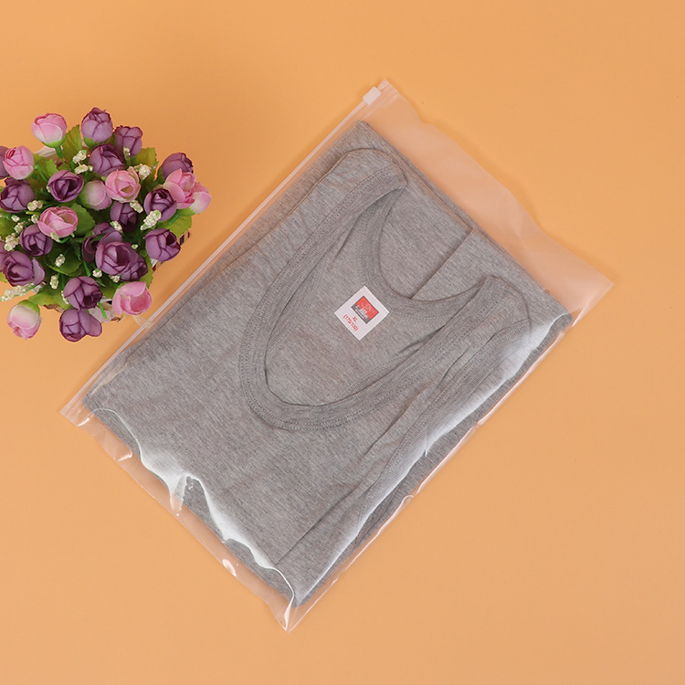 Custom Resealable Transparent CPE EVA PE Storage Garment Clothes Bag Jewelry Slider Double Packaging Logo Printing Zipper Traveling Package-Conveyance