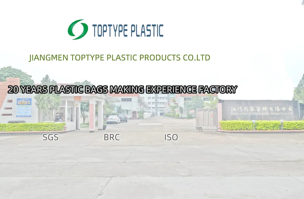 Food Plastic Vacuum Freezer Fresh Cold Storage Bag Package