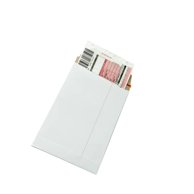 Rigid Mailer 2