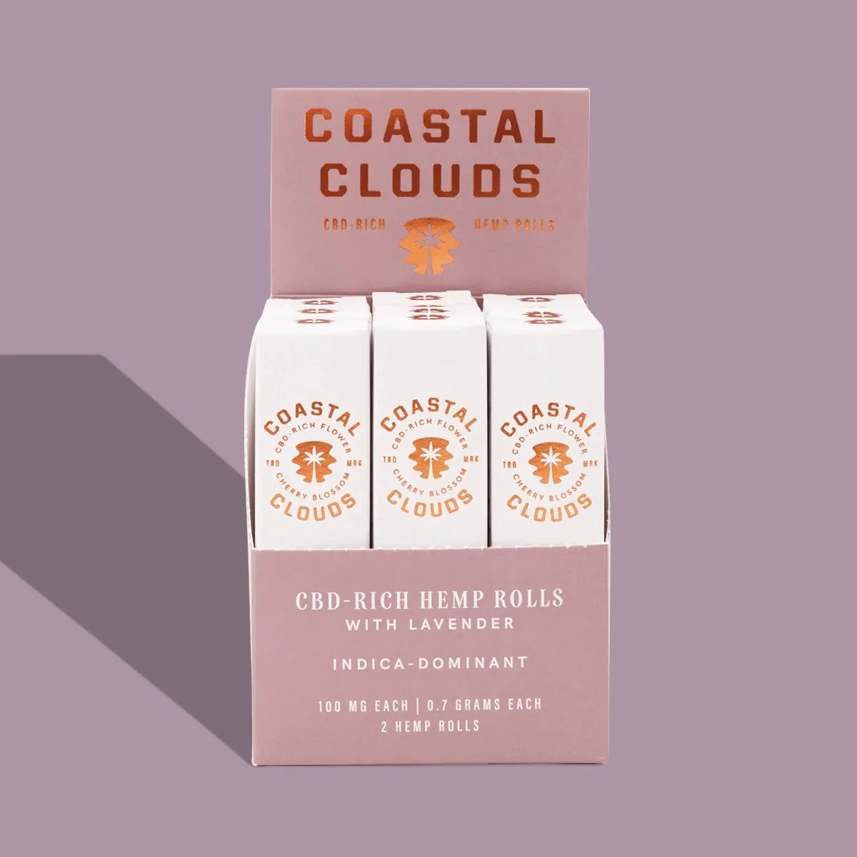 Free Sample Wholesale Custom Luxury Perfume Gift Box Hot Stamping Cardboard Package