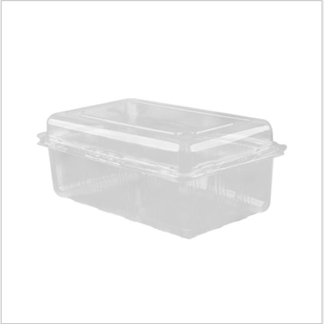 500g Clear Plastic Boxes Wholesale Strawberry Packing Package for Fruits