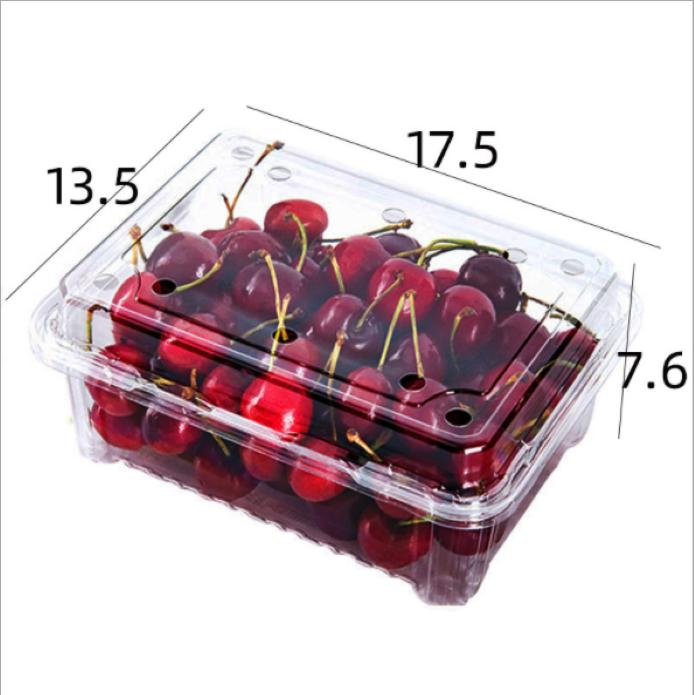500g Clear Plastic Boxes Wholesale Strawberry Packing Package for Fruits