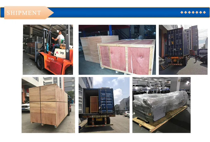 Packaging and Shipment