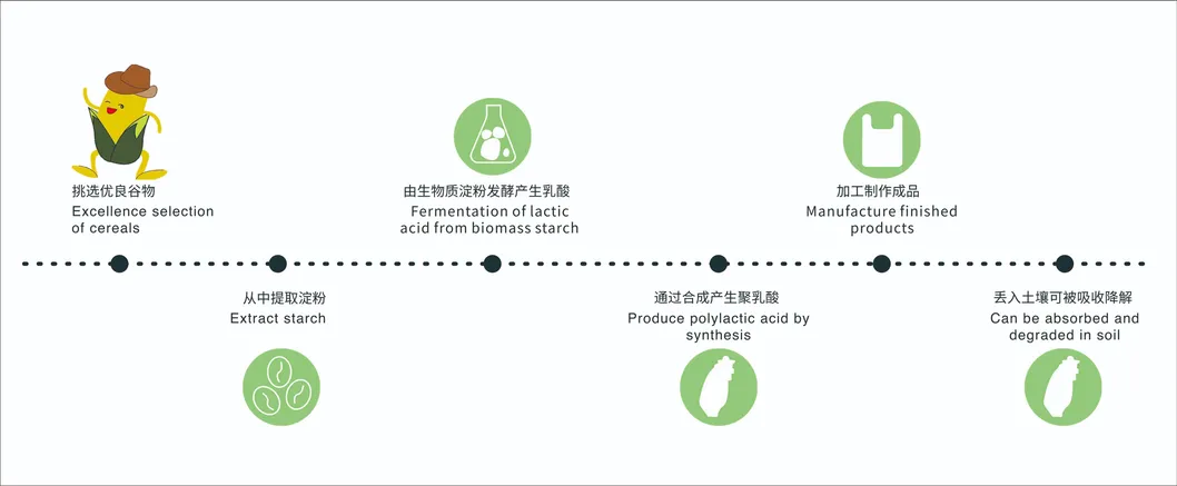 Compostable Bag Details