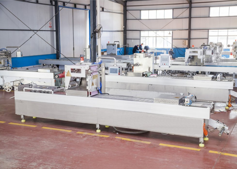 Thermoforming Vacuum Packing Machine/Sandwich Packing Machine/Ex-Factory Price Original Package Can Be Customized