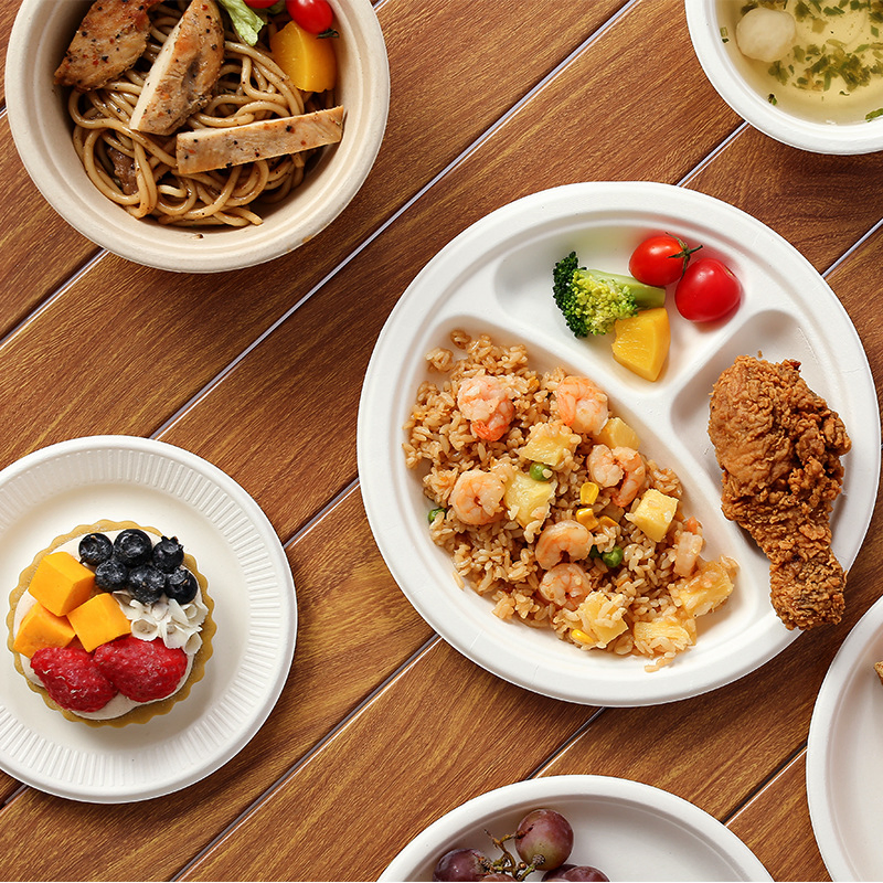 100% Compostable Paper Plates Disposable Sugarcane Plates Eco and Heat Resistant Alternative to Plastic Food Package