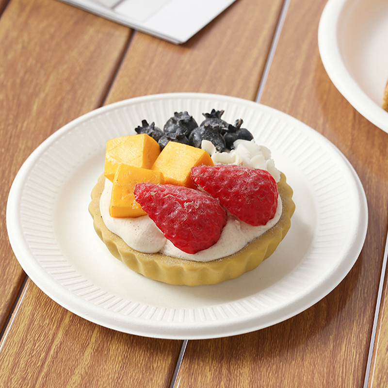 100% Compostable Paper Plates Disposable Sugarcane Plates Eco and Heat Resistant Alternative to Plastic Food Package