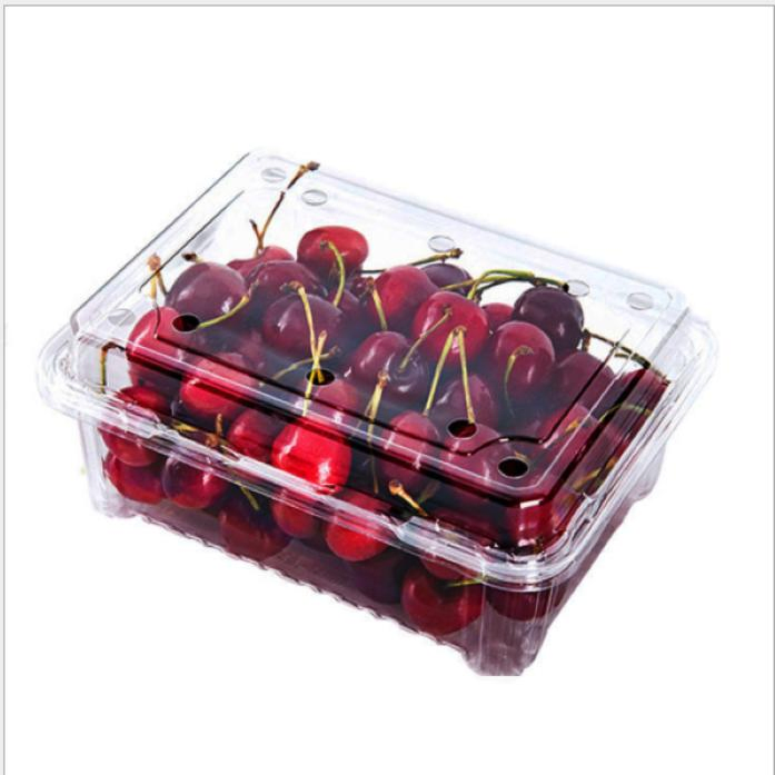 500g Clear Plastic Boxes Wholesale Strawberry Packing Package for Fruits