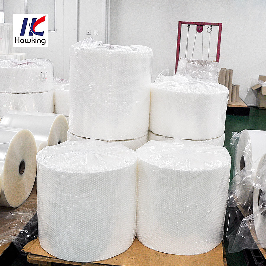 Co-Extruded Multilayer Film Plastic Film Frozen Food Vacuum Packages